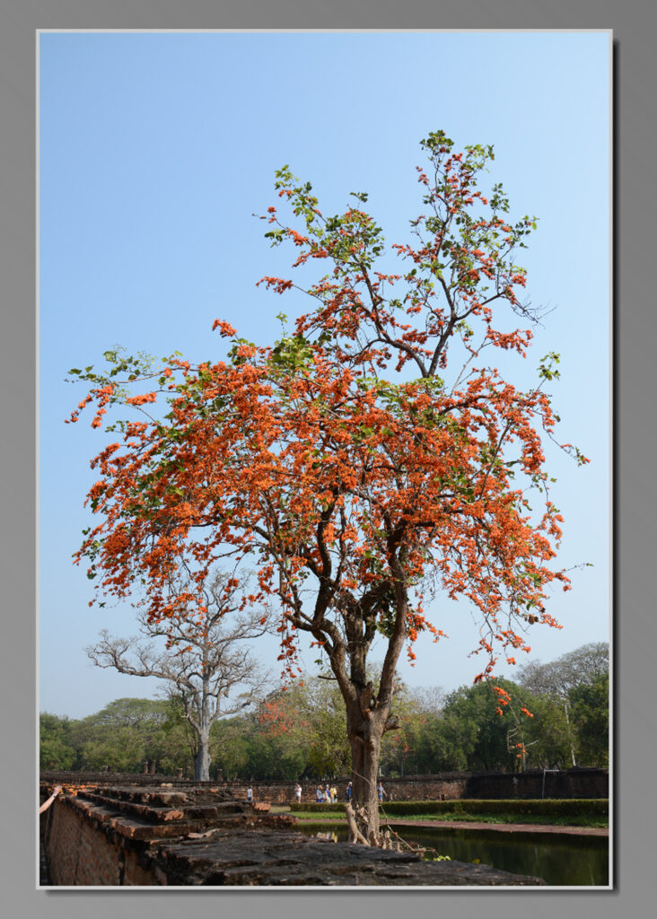 Sukhothai Historischer Park