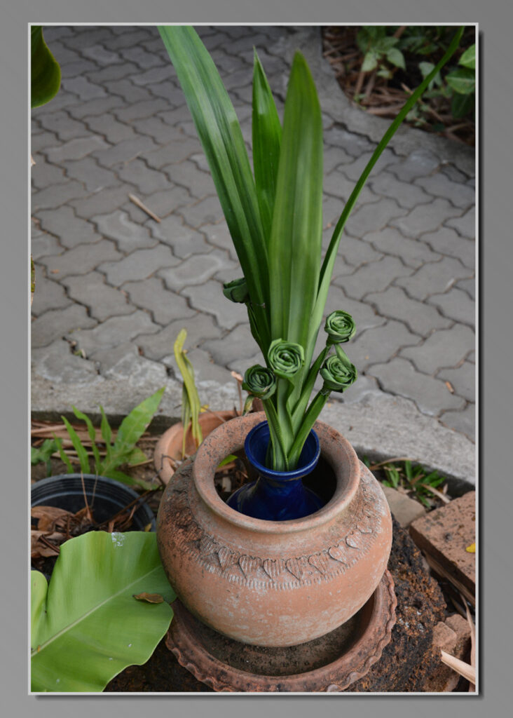 Wat Srichum - Lampang