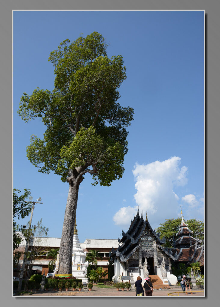 Wat Chedi Luang